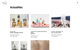 Refonte de site Galerie MariaLund - Les actualités - In blossom